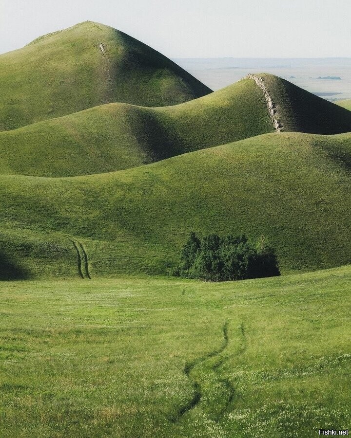 Бархатные вершины