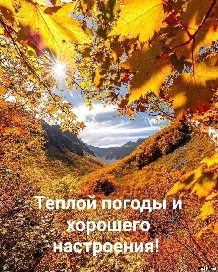С добрым утром