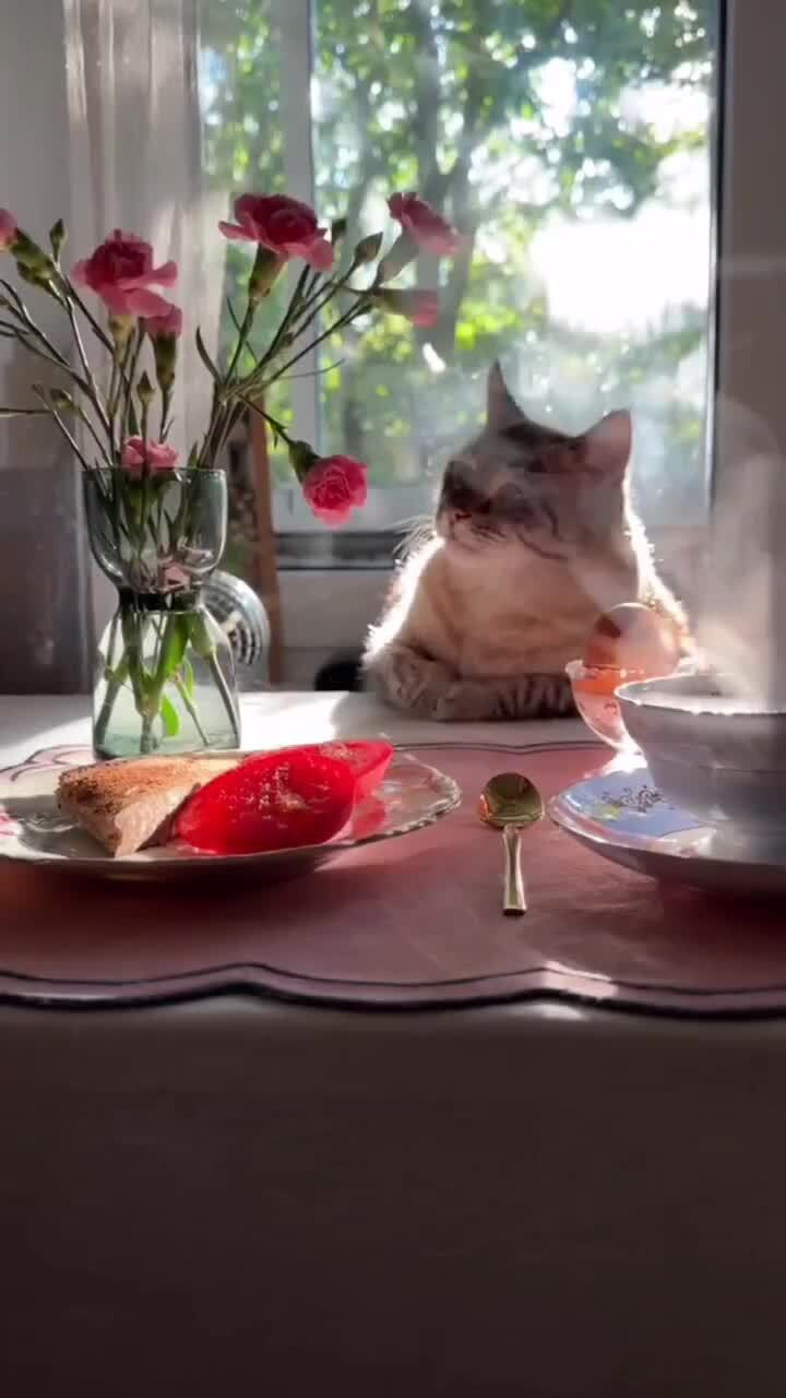Доброе утро
