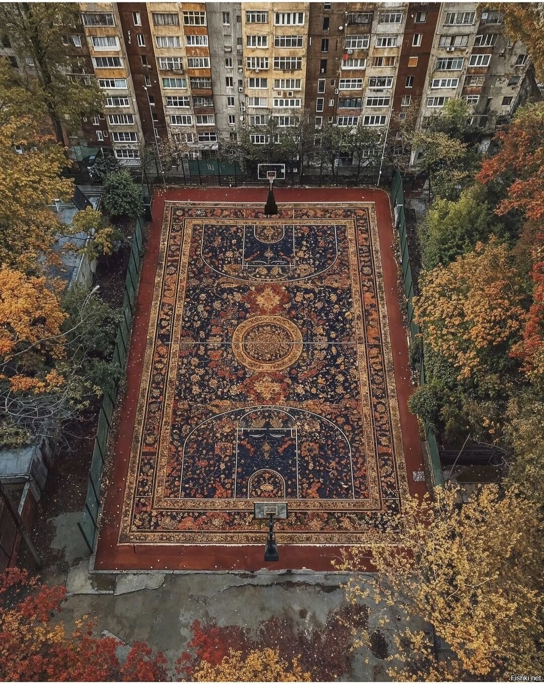 Солянка