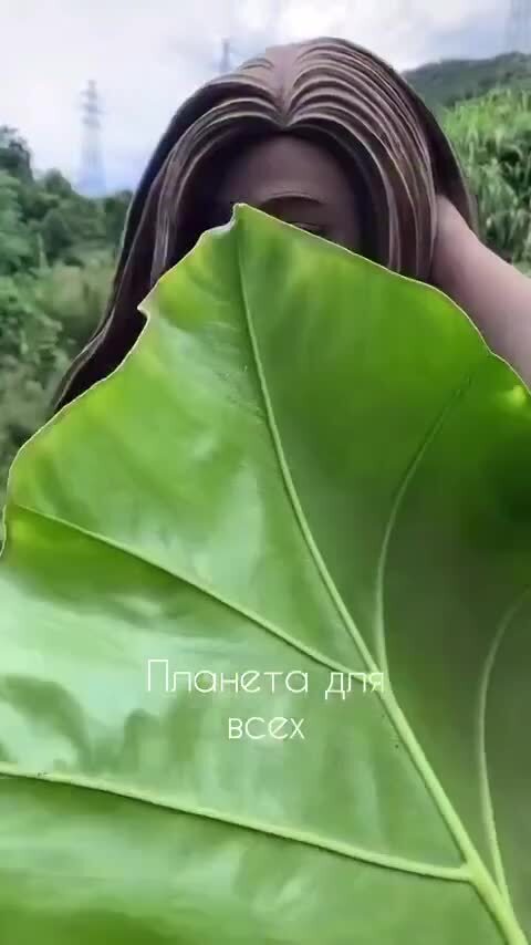 Красиво
