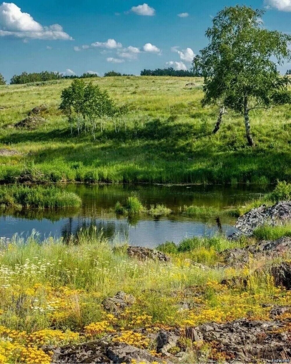 Солянка
