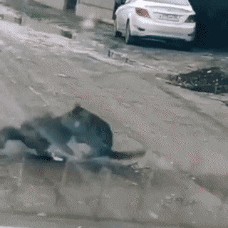 А теперь - танцы