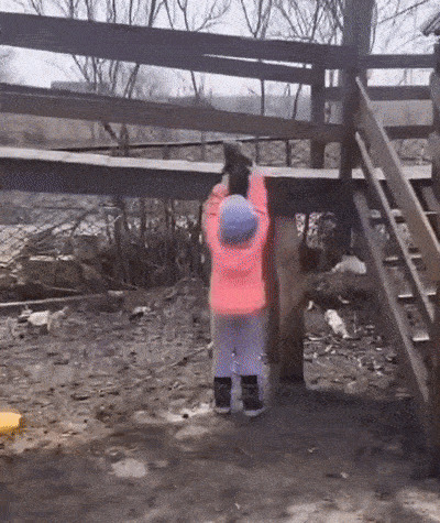Нашла себе игрушку