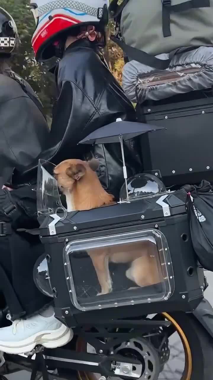 И про дружка не забыли