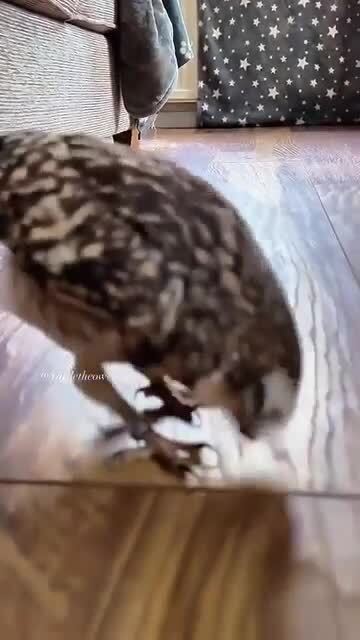 Заморил червячка)