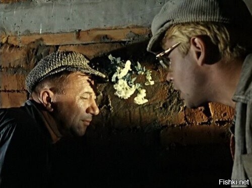 памяти митхуна