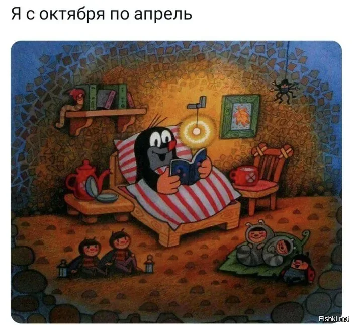 Солянка