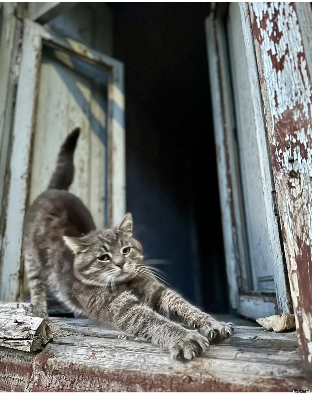 Солянка