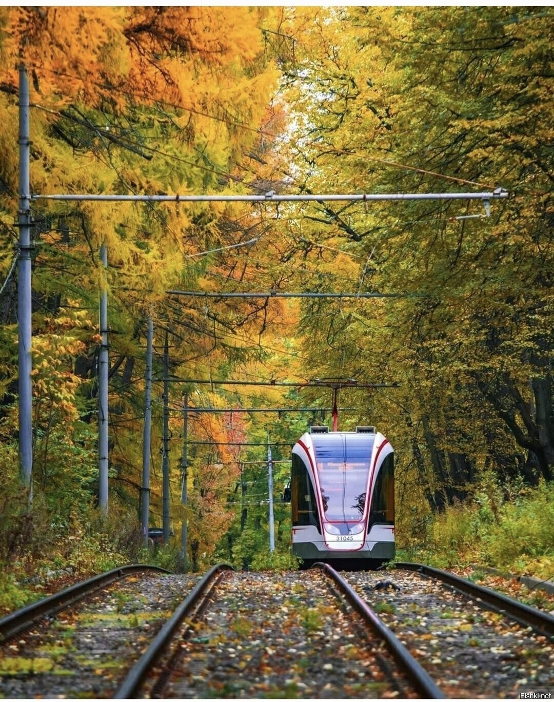 Солянка