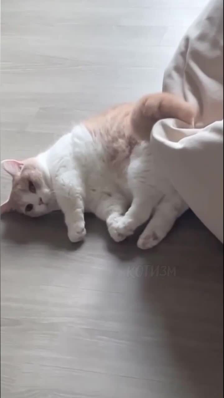 точно