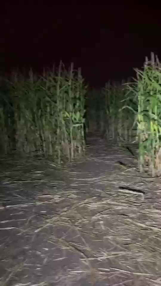 Спокойной ночи