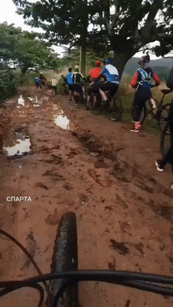 Обочечник