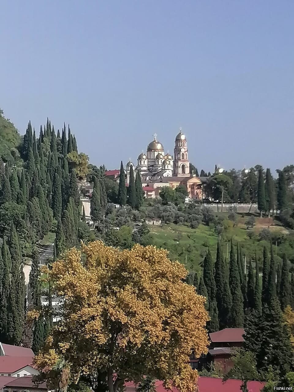 Солянка