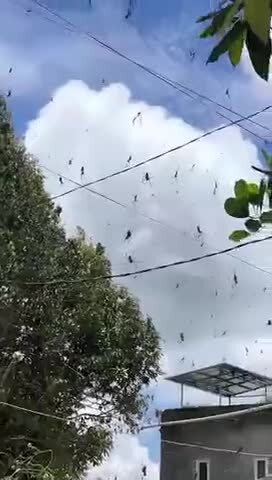 опять с бали нае**ли