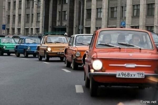 "Каждый охотник желает знать, где
