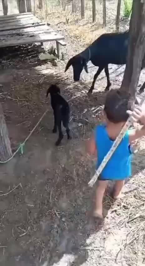 Тот случай, когда ребенка не жалко