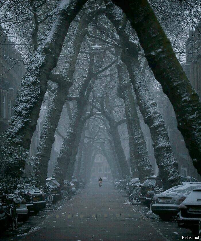 Солянка