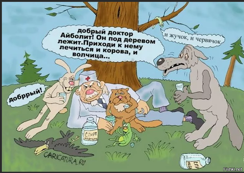 Солянка