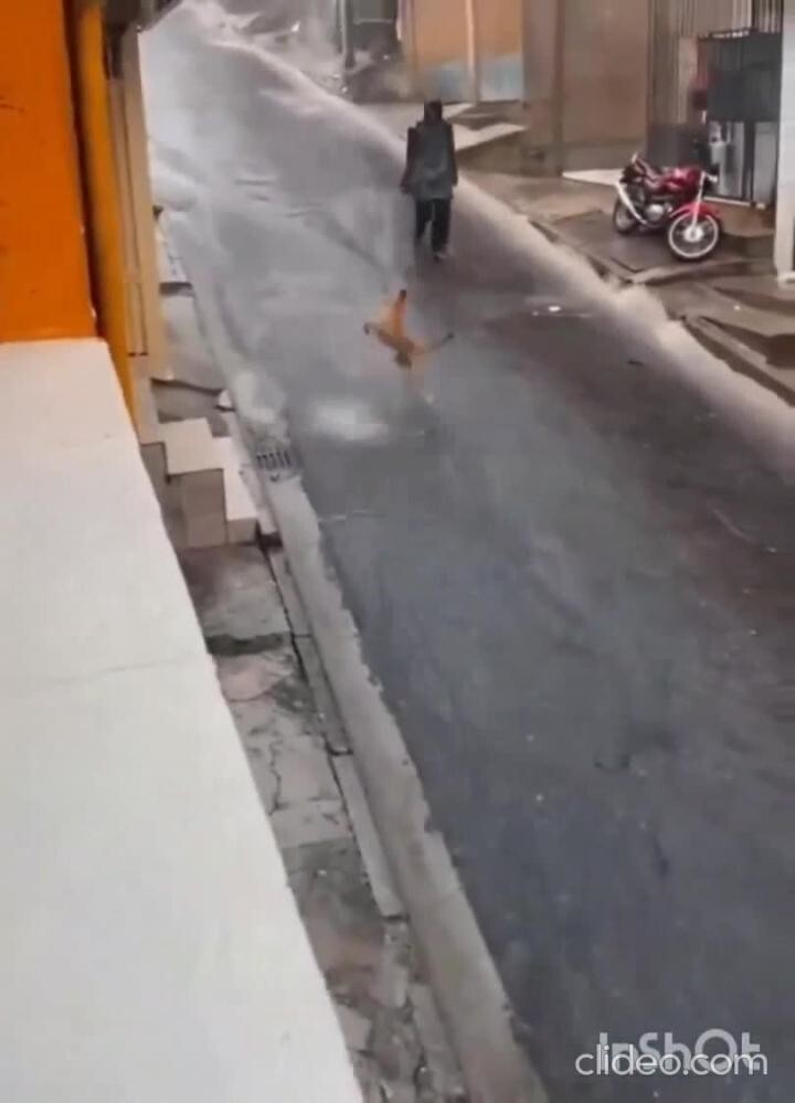 Он просто счастлив