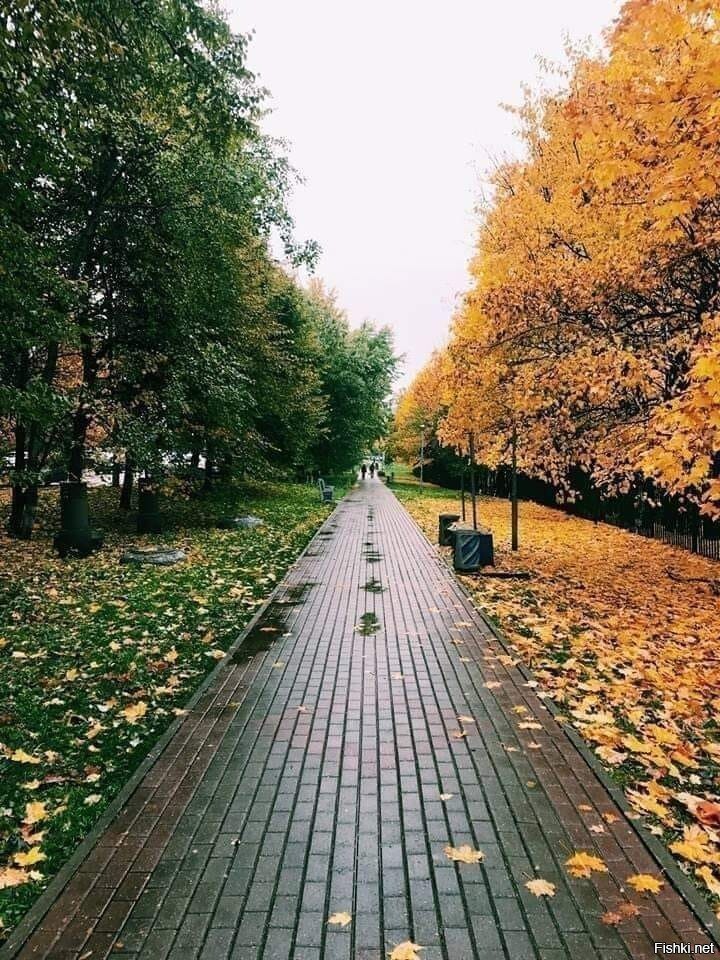 Встреча осени и лета