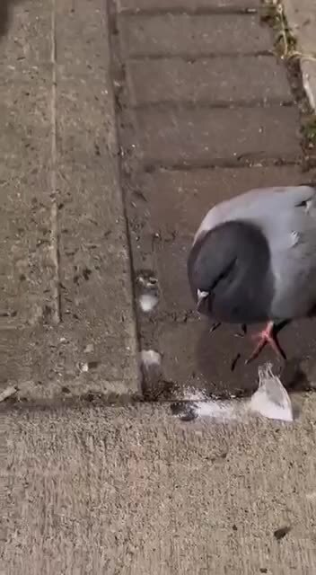 Нашел