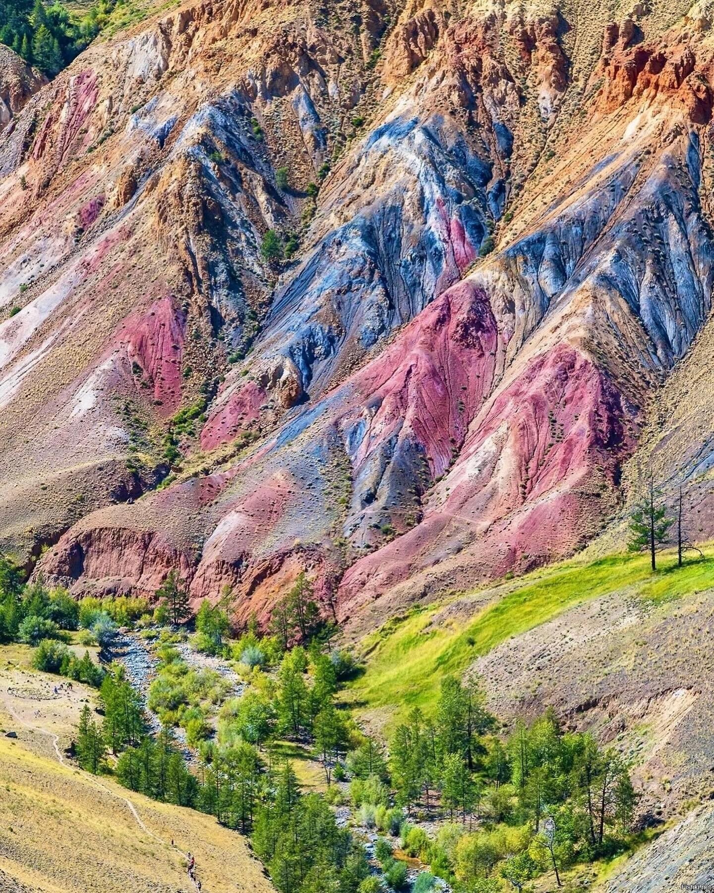 Осень в урочище Кызыл-Чин