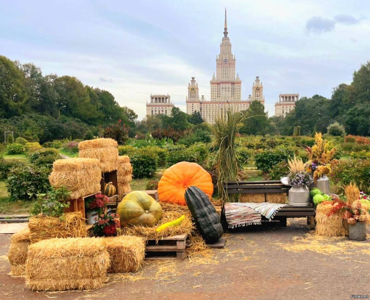 Осенняя фотозона с тыквами появилась возле МГУ