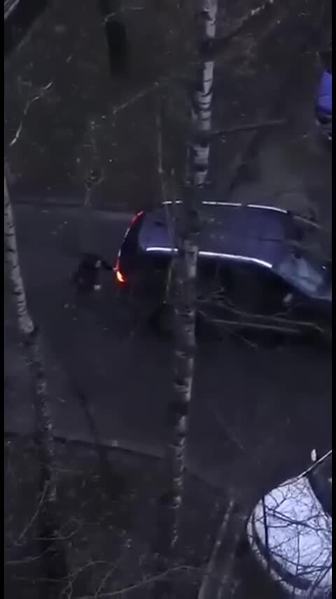 Солянка
