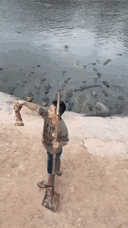 Ненасытные
