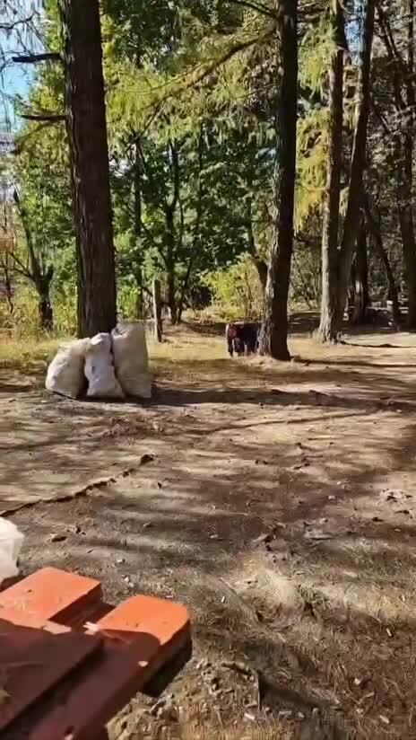 квадробер - начало