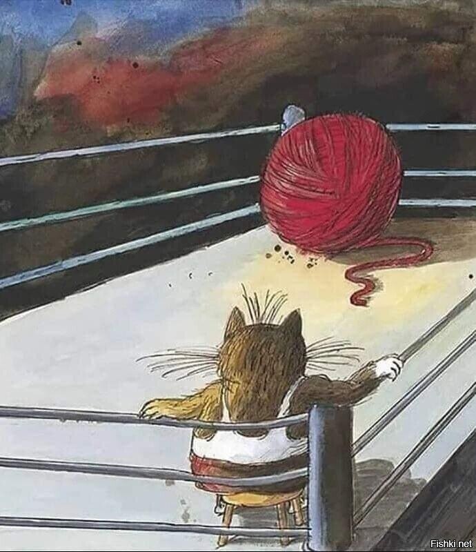 Солянка