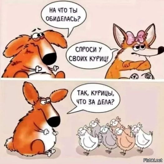 Солянка