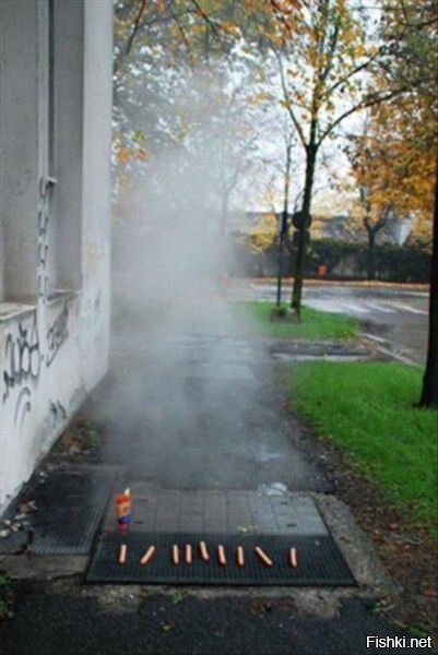 хочу попасть туда где сыро