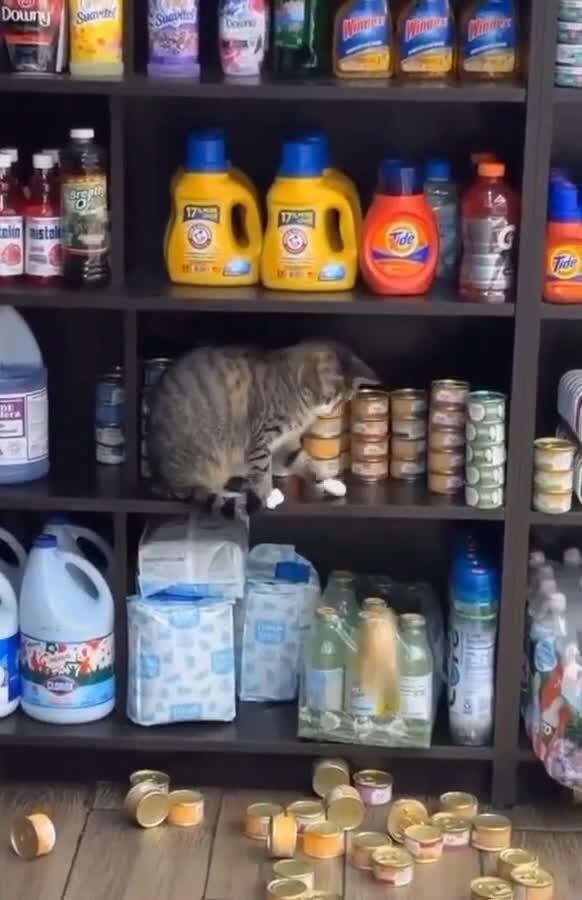 Солянка
