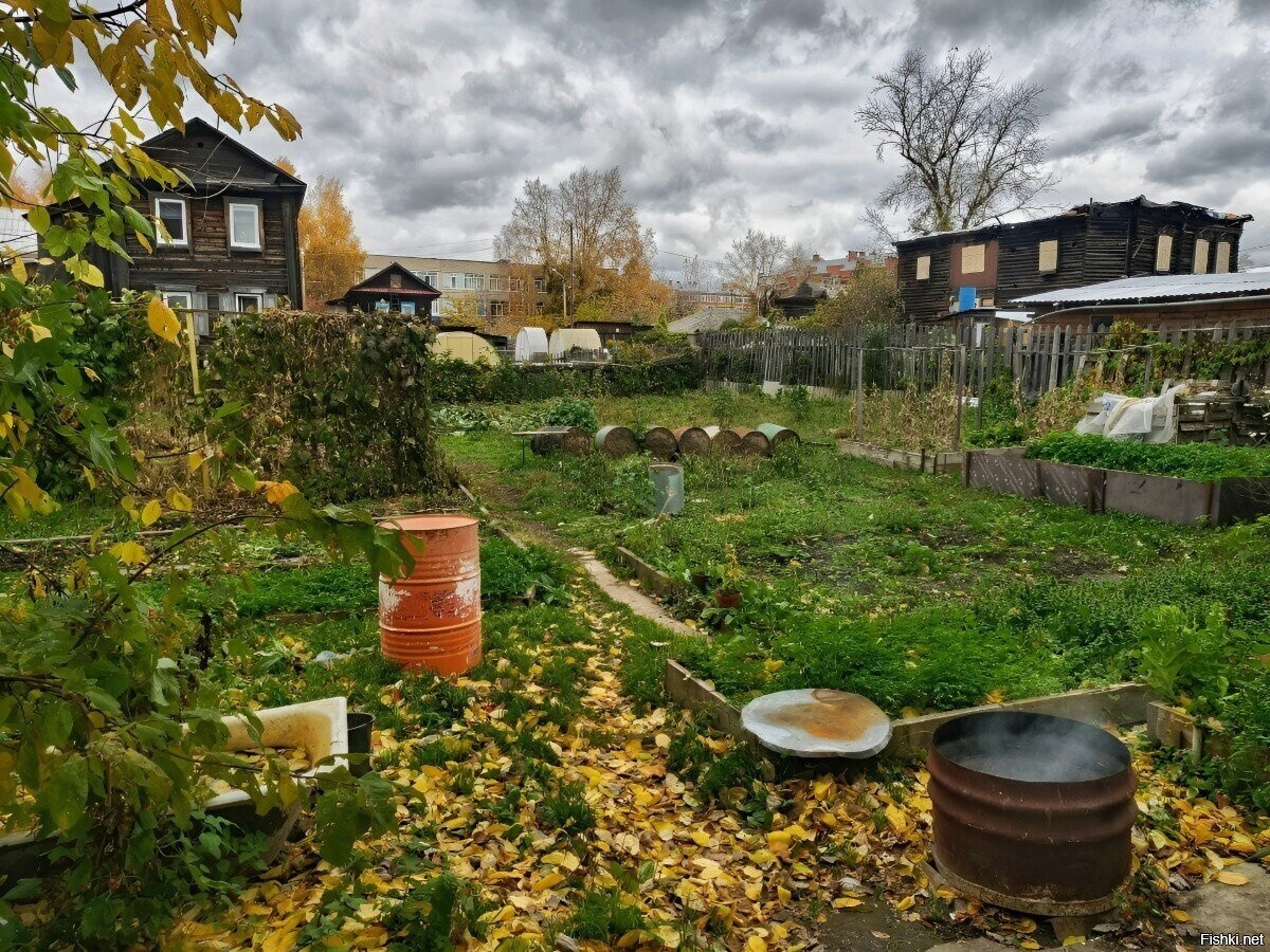 Солянка