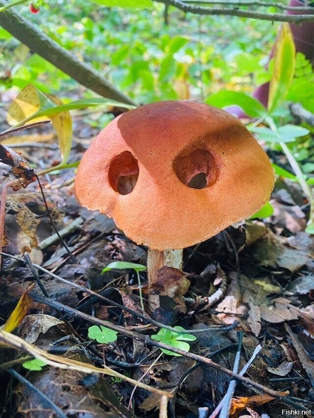 Рязанский