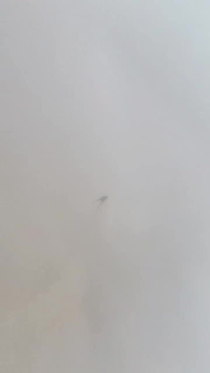 Полетали бы