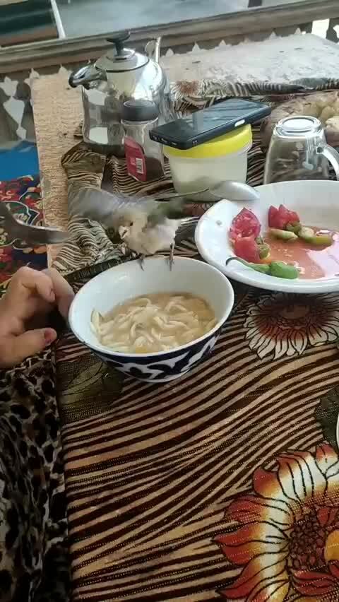 Солянка