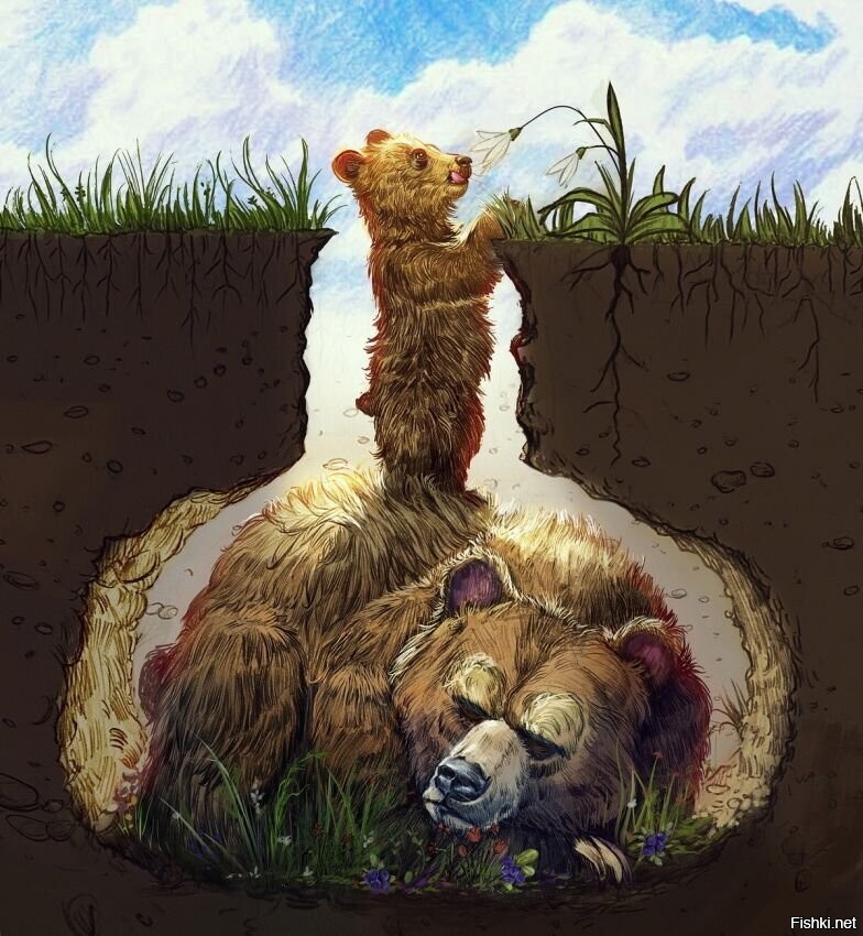 Солянка