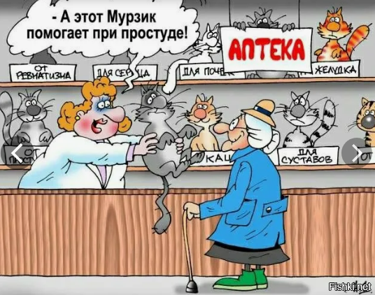 Солянка