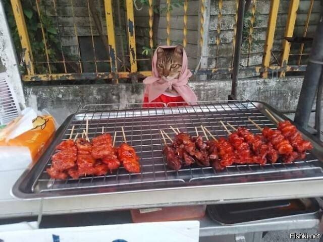 Солянка
