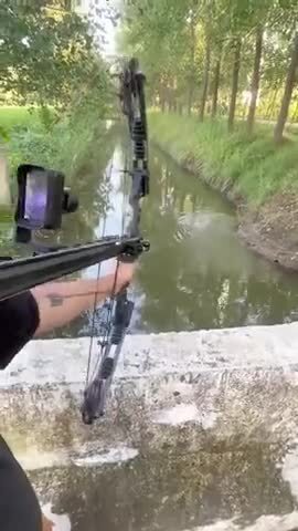 Самозарядный лук с цифровым прицелом