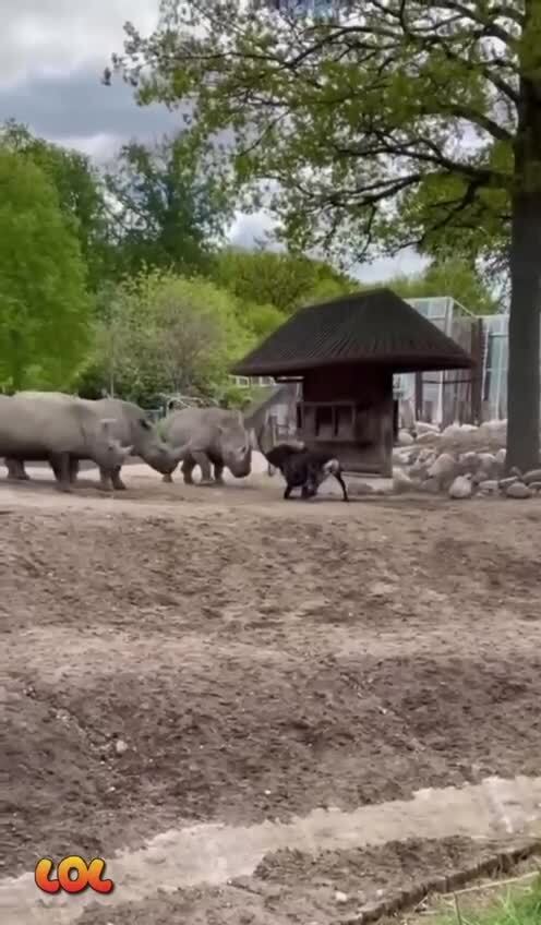 Главное верить в себя