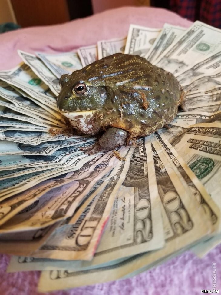 Она существует