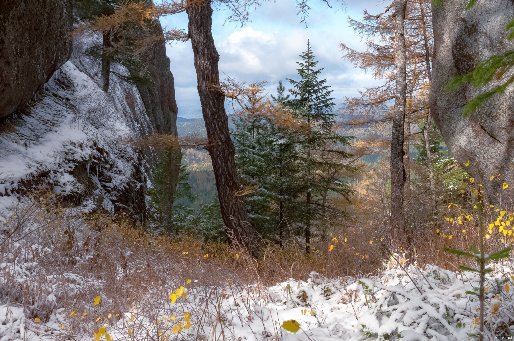 Солянка