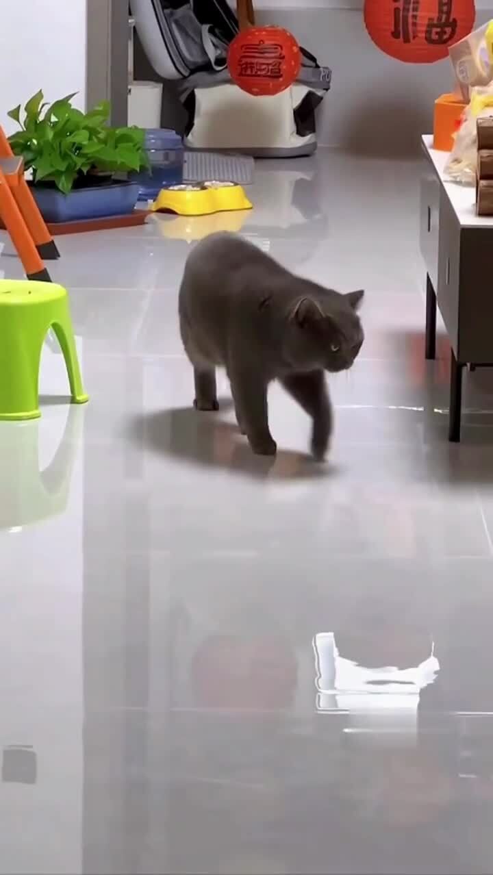 А я чего