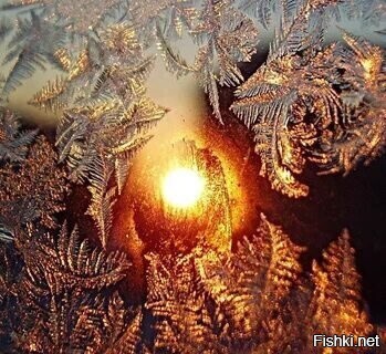 С добрым утром