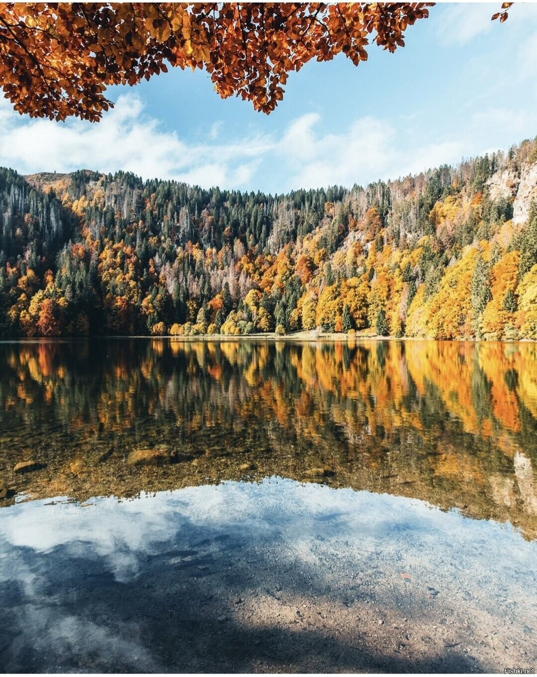 Солянка