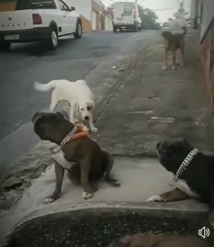 Чё хотел то
